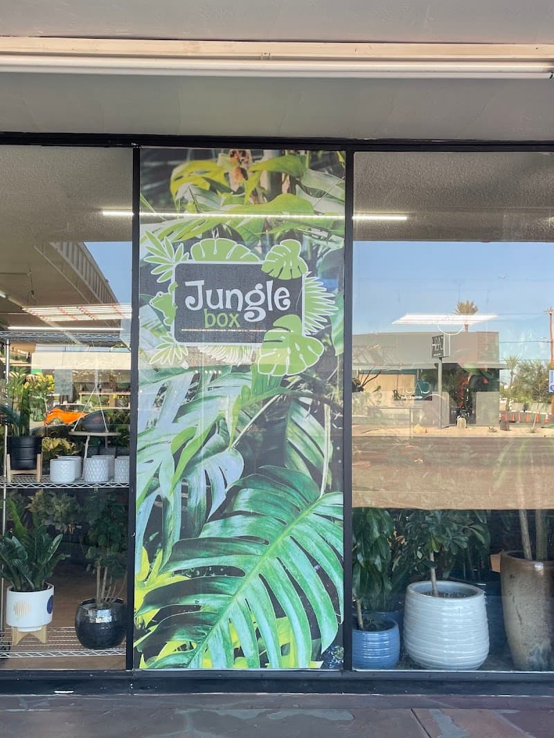 Jungle Box Phoenix photo