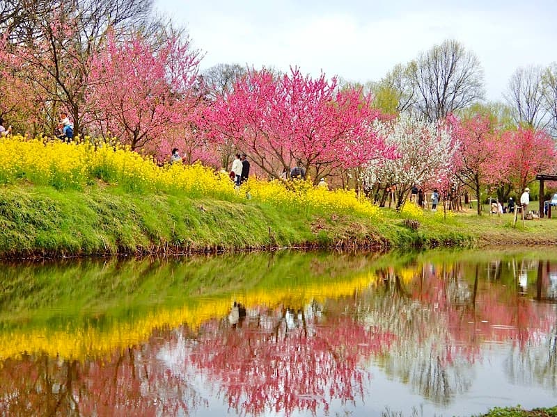 Kairakuso Koga City photo