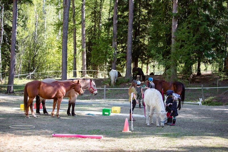 Kings Eco Oasis Castlegar photo