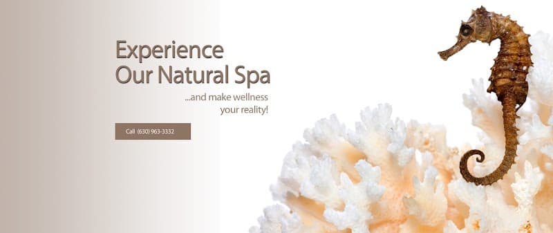 KorCare Spa Downers Grove photo