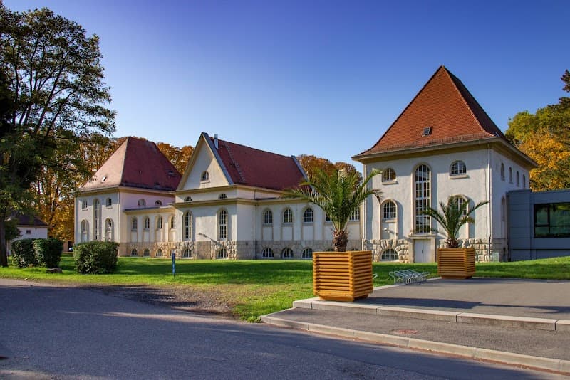 Naumburg (Saale) kösalina photo