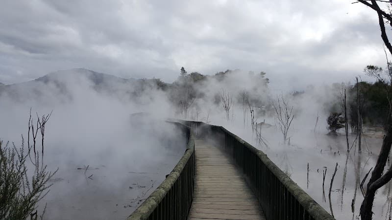 Kuirau Park Rotorua photo