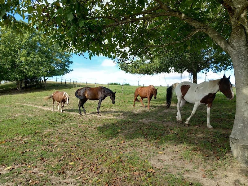 L'esprit Equin Ath photo