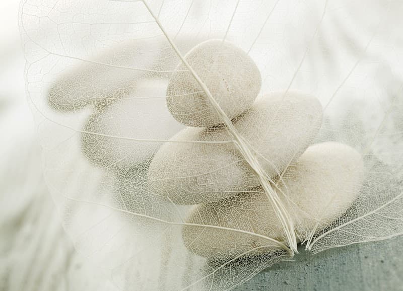 La Vague et la Plume Talence photo