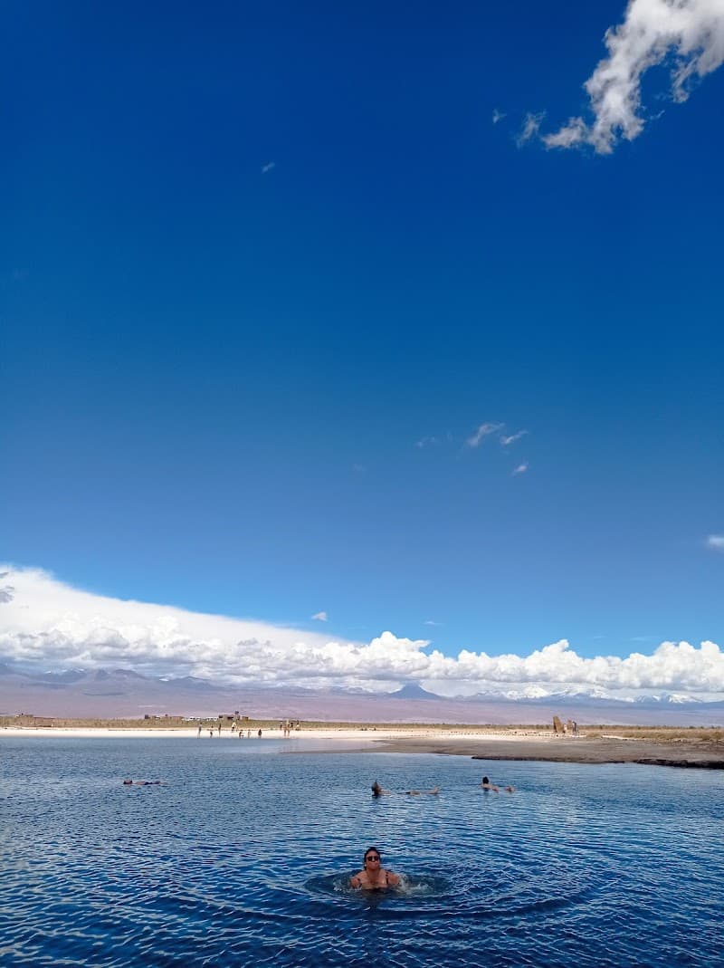 Laguna Cejar Atacama photo