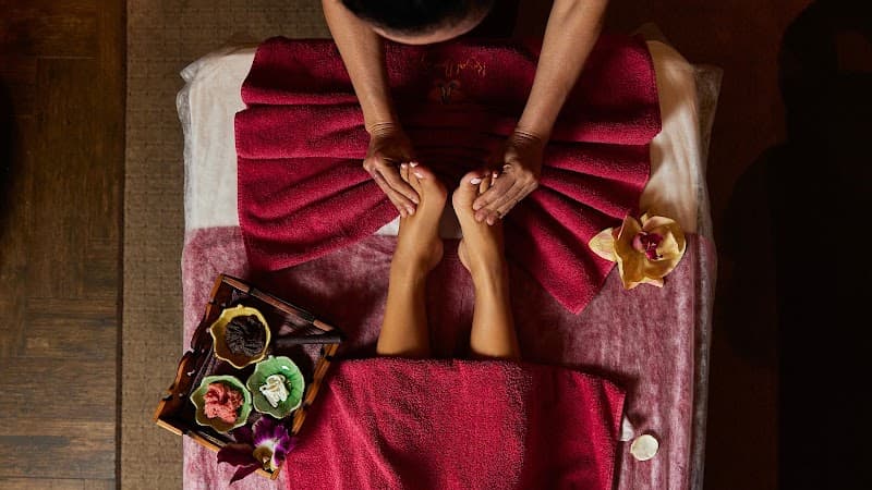 Le Monde du Spa Brasles photo