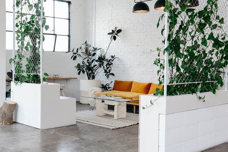 Little Company Cremorne photo