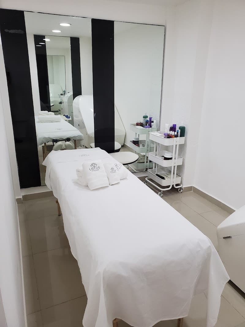 Lotus Vitalspa Cuernavaca photo