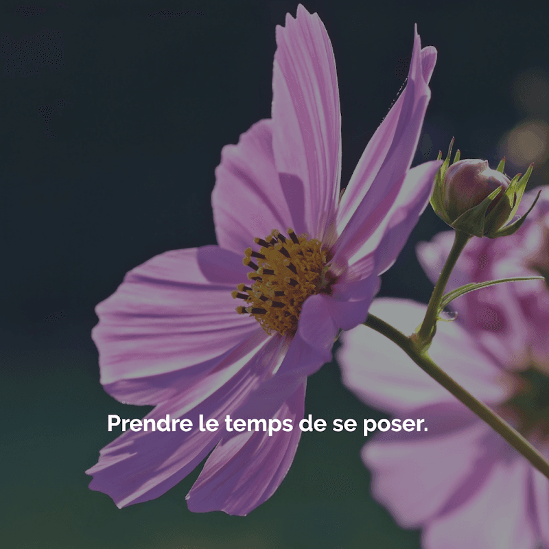 Ma Douce Pause Boves photo
