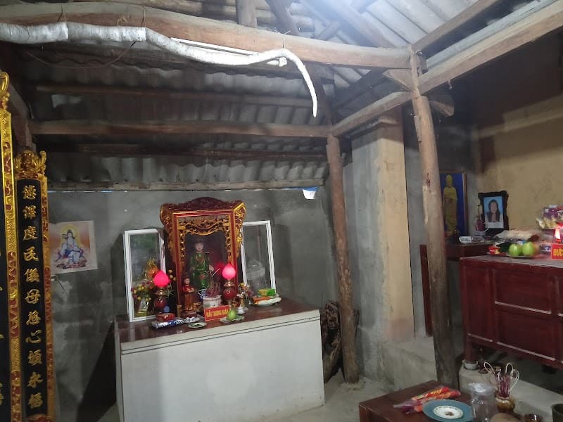 Mai Hoa Binh Luc photo