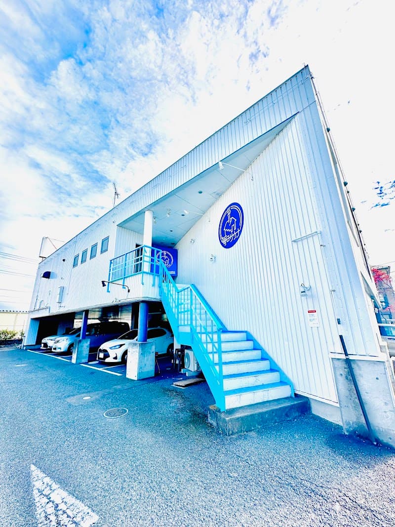 Mainichi Sauna Maebashi City photo