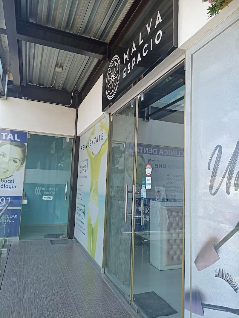Malva Espacio Pachuca photo