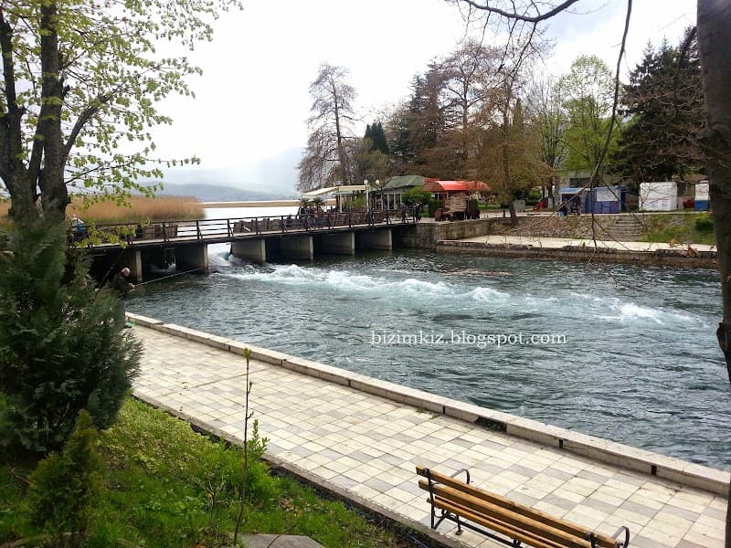 Massage Jovanoski Struga photo