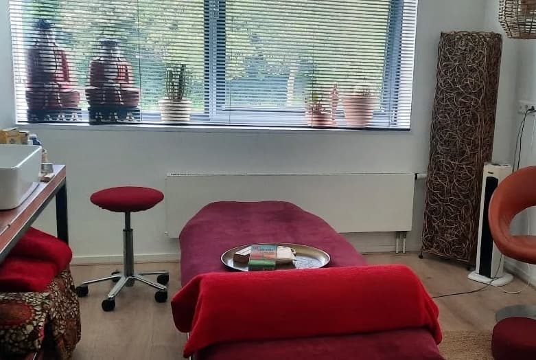 Massagepraktijk Delfgauw photo