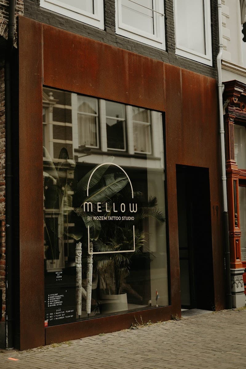Mellow Arnhem photo