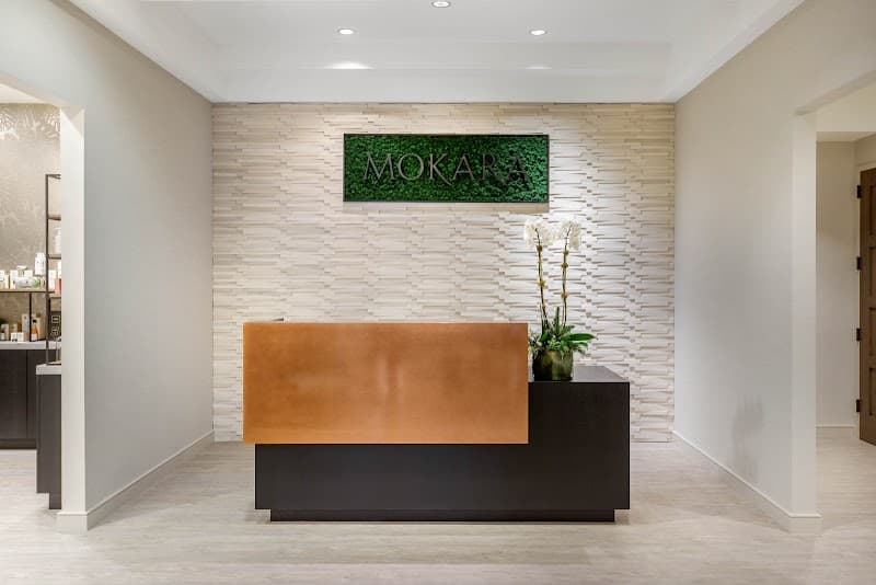 Mokara Spa Houston photo