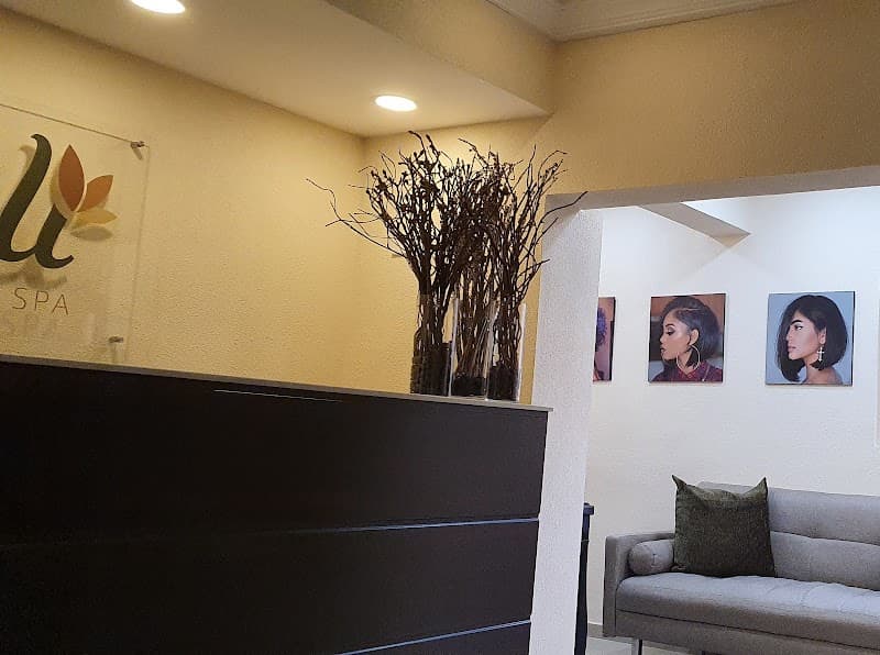 NaLi Spa Freetown photo