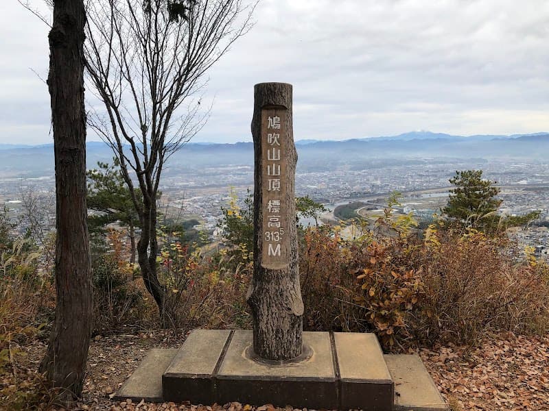 Nature Kani City photo