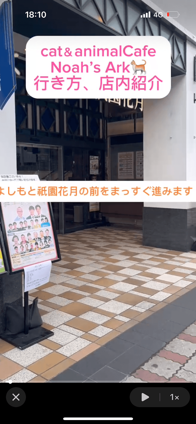 Noah's Ark Tokyo photo