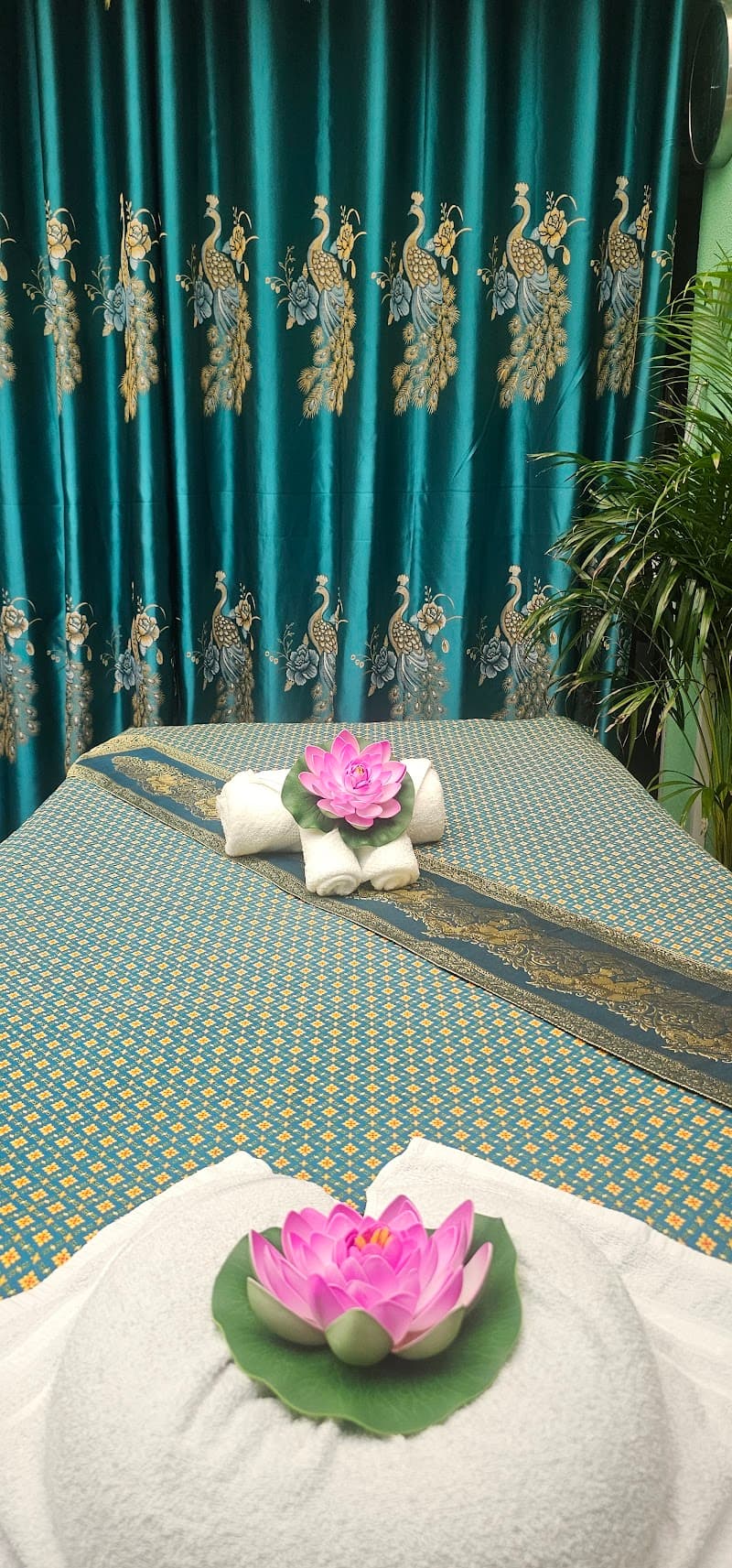 Nok-Nok Massage Boxtel photo