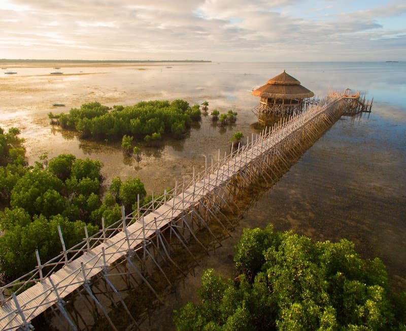 North Zen Villas Bohol photo
