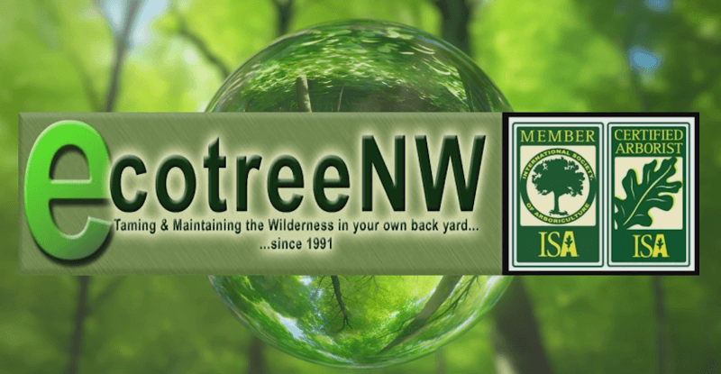 NW Healing Tree Lynnwood photo