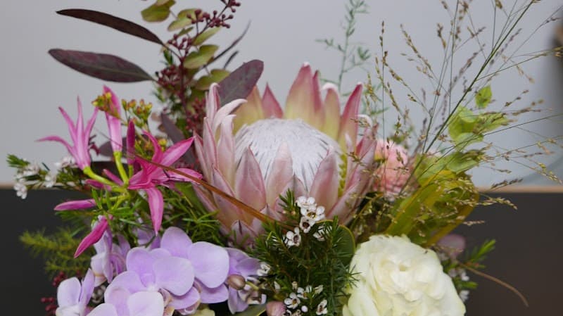 Vinzier Ô Fleurs Sauvages photo