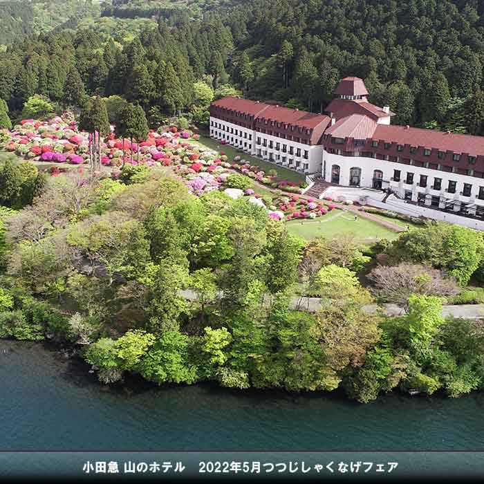 Odakyu Hotel de Yama Hakone photo