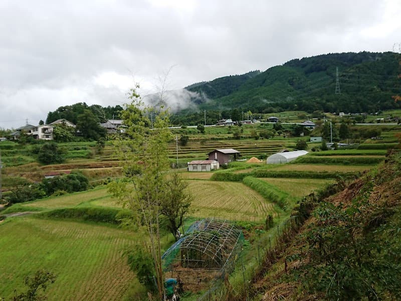 Ogoto Koka City photo