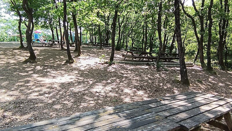 Paşaköy Piknik Alanı Tuzla photo