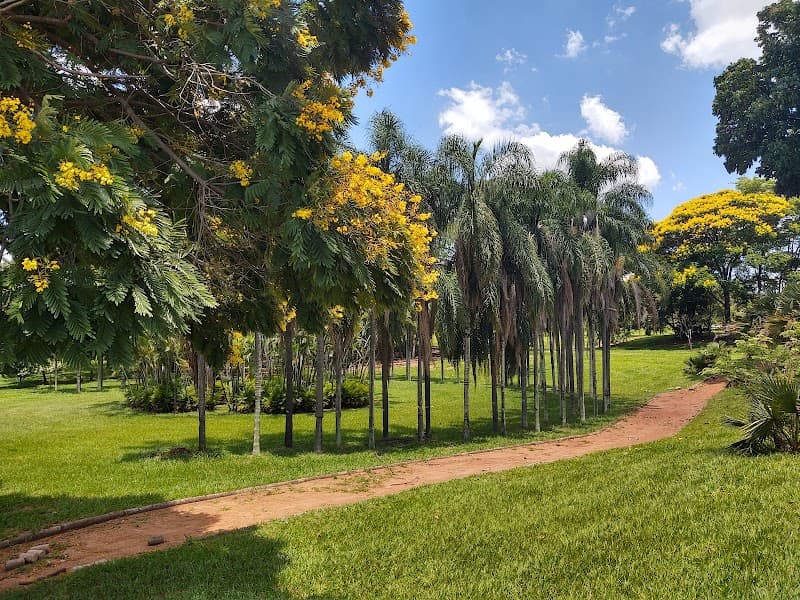 Peace Campinas photo