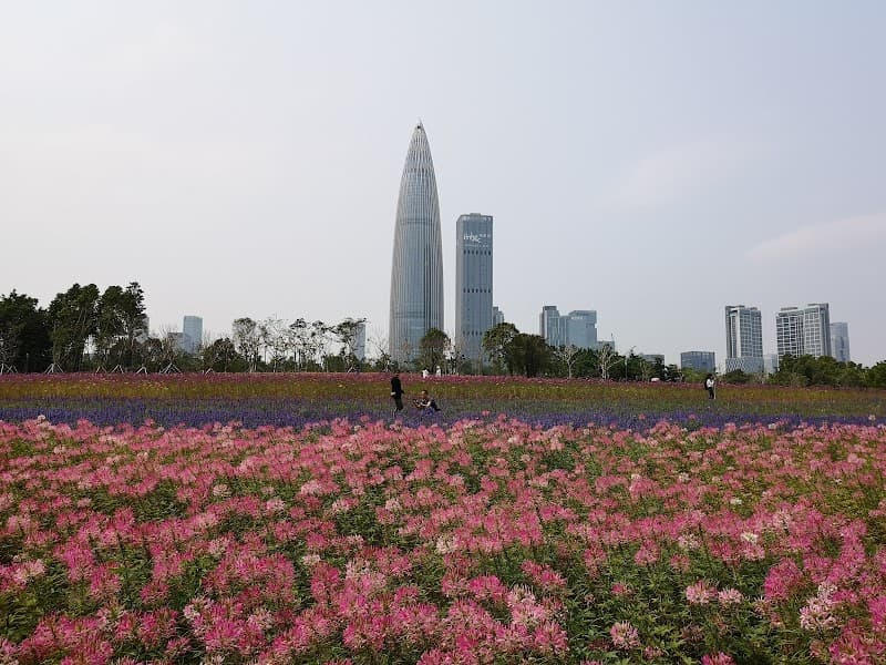 Peach Blossom Land Shenzhen photo