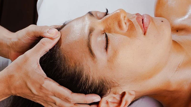 Plantissima Spa Solidaridad photo
