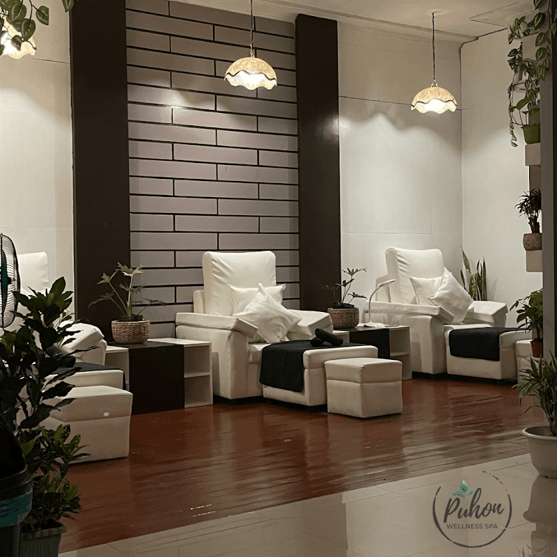 Puhon Wellness Spa Abucay photo