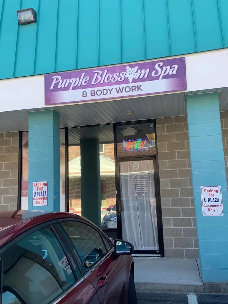 Purple Blossom Spa Lowell photo