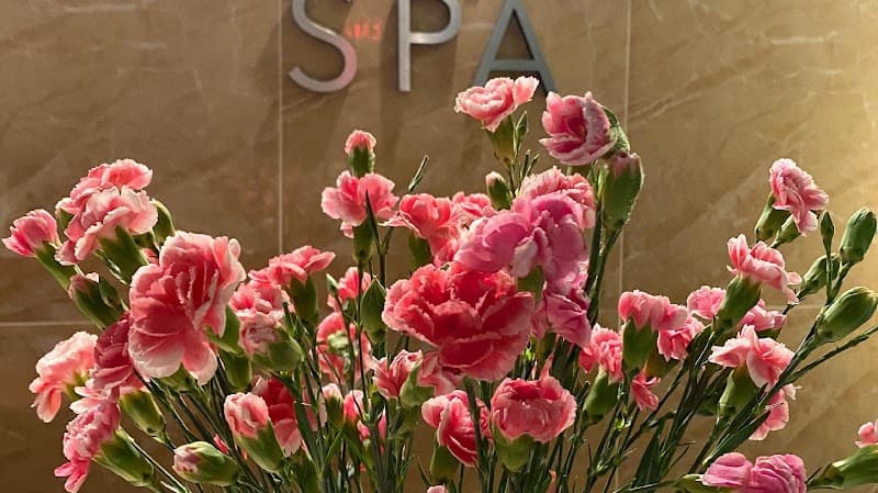 Relax Massage Heaven Linwood photo