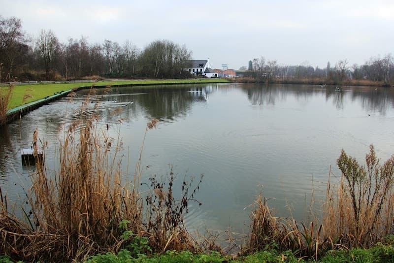 Roobaert Vijver Asse photo