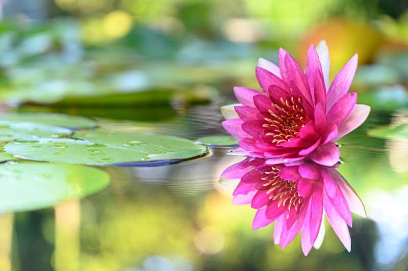 Satun Massage Breukelen photo
