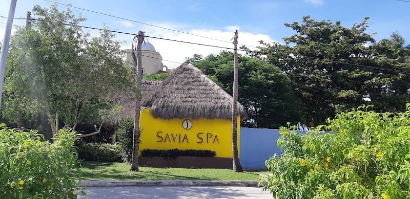 Savia Spa Cozumel photo