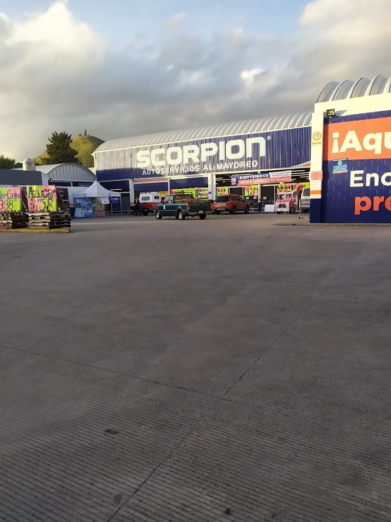 Scorpion Ixtapaluca photo
