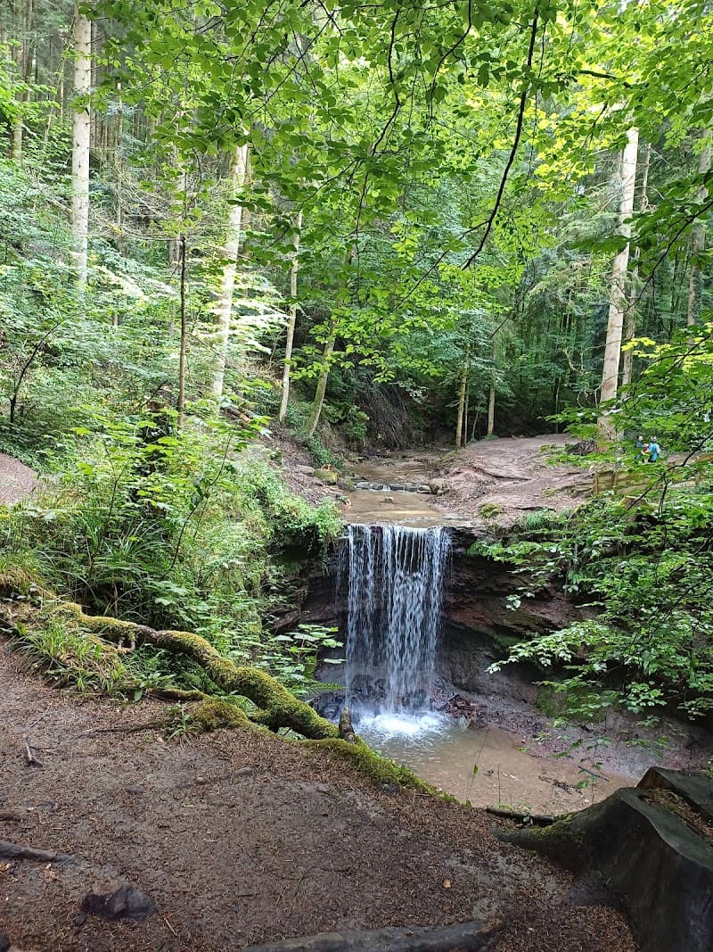 SeebaWell Murrhardt photo