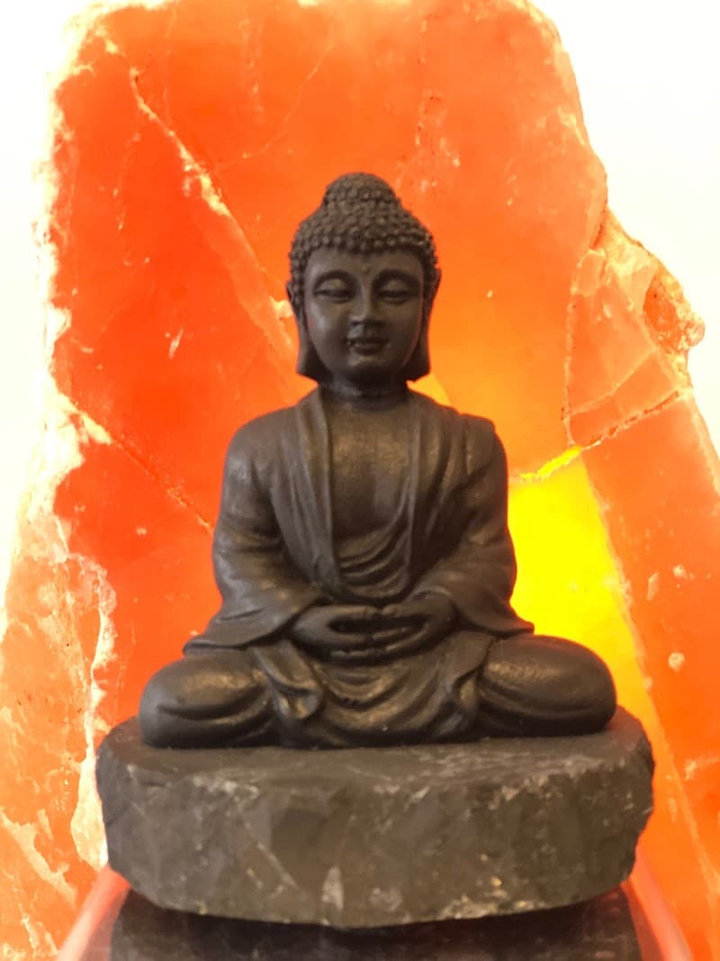 Serenity Fit Spa Littleton photo