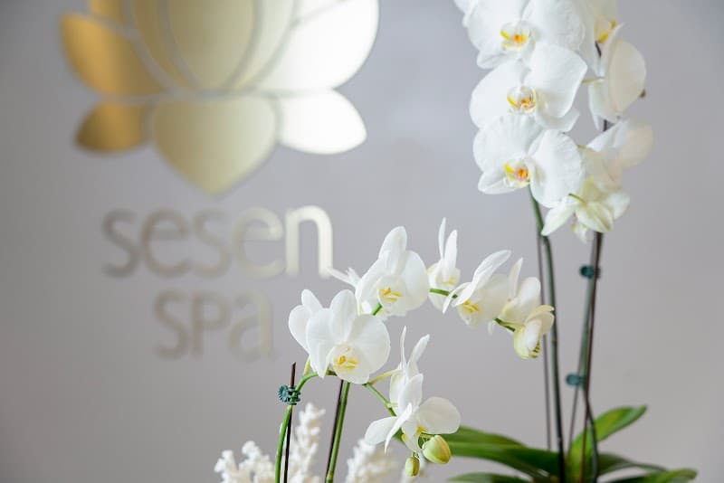 Sesen-Spa Chipiona photo
