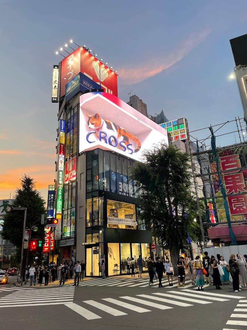 Shaolin Cat Shibuya Ward photo