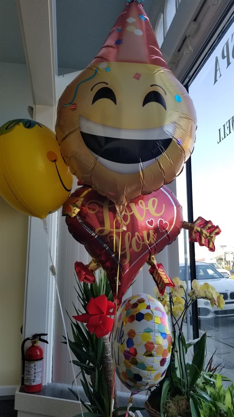 Shine Skin SPA Millbrae photo