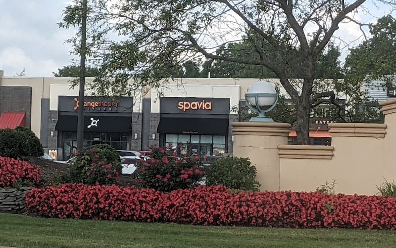 Spavia Strongsville photo