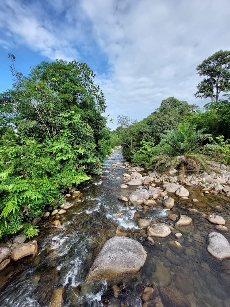 Sungai Bil Tanjung Malim photo