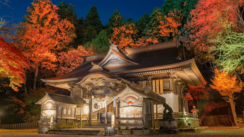 Tamayama Onsen Iwaki photo