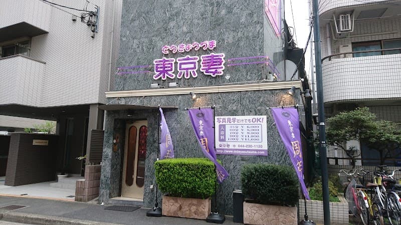 Tokyo Tsuma Kawasaki City photo