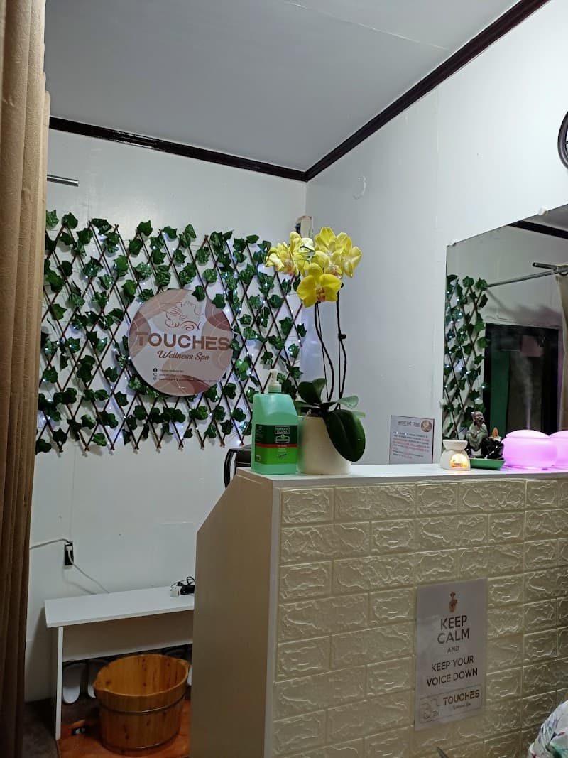 Touches Wellness Spa Ligao photo